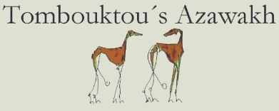 Tombouktou's Azawakh